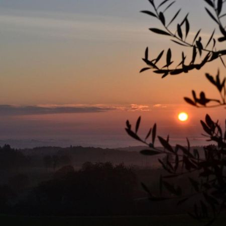 Podere Ficareto Farm Ancaiano Buitenkant foto
