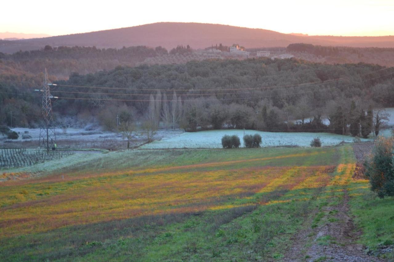 Podere Ficareto Farm Ancaiano Buitenkant foto