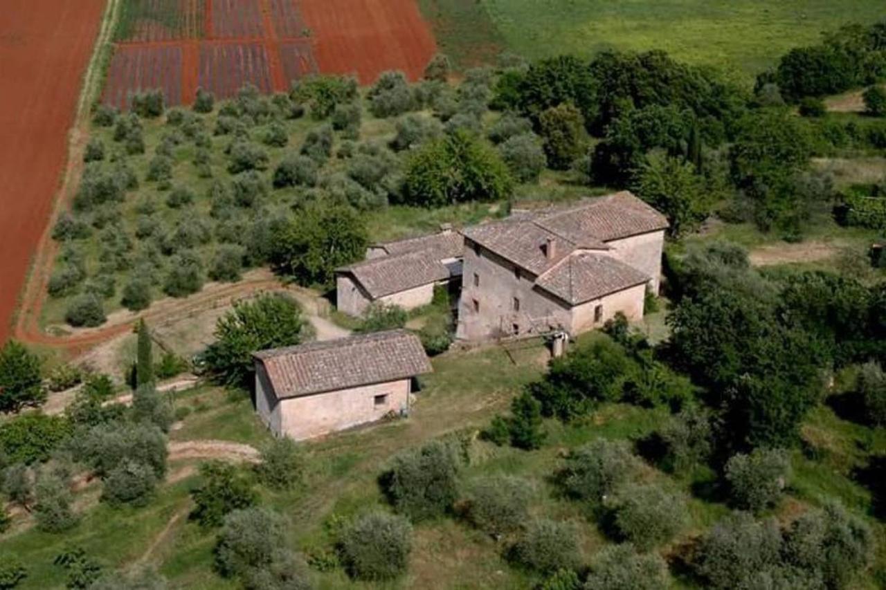 Podere Ficareto Farm Ancaiano Buitenkant foto